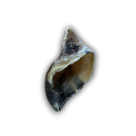 ANCO Naturals Empty Hooves