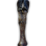 ANCO Naturals Cow Leg