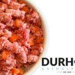 DAF Duck and Pumpkin - Single Block