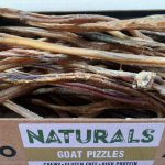 Anco Goat Pizzles x5