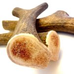 antler medium