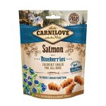 Carnilove salmon snack