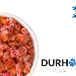 DAF Duck and Pumpkin - Box of 14