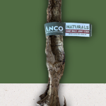 Anco - Giant Bully Jerky Stick