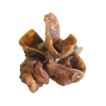 Dried Inner Pigs Ears 5kg