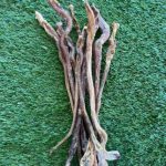 Anco Lamb Pizzles x5